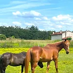 Nid Douillet * Poncins