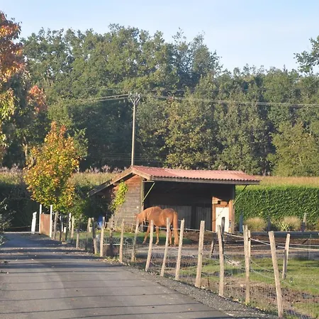 Nid Douillet Poncins