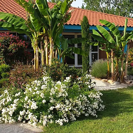 Nid Douillet Holiday park Poncins