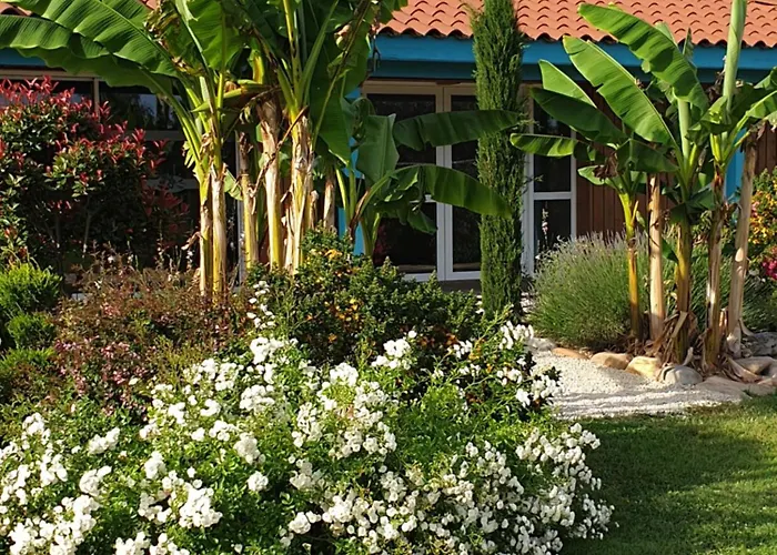 Nid Douillet Ferienpark Poncins